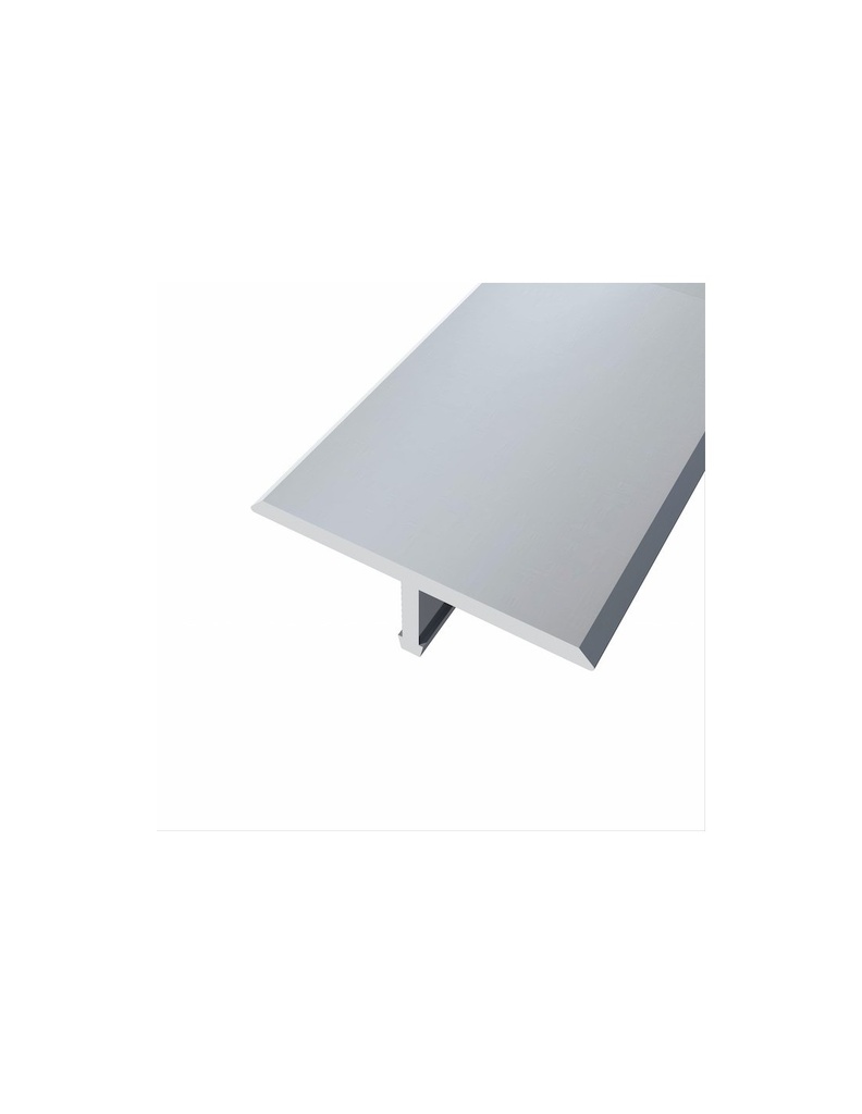 Perfil T 25mm (03) Alum. Plata 270cn