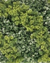 Jardín Vertical Montseny - paneles 50x50cm