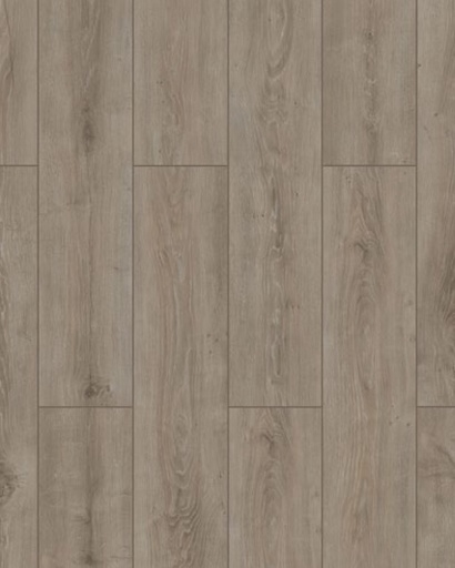 [FW4007PR] Floorpan Plus 5 Ref 4007 - 4 biseles AC5/33 - 72h WP -  L2C 1205x197x8mm (parrot)	