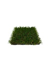 Cesped artificial Deco 30mm - rollo 2x20m