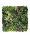 Jardín Vertical Borneo A - paneles 1x1m	