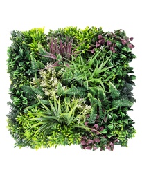 [A0324] Jardín Vertical Borneo SC - paneles 50x50cm
